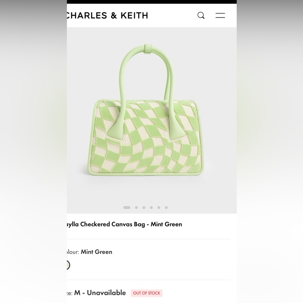*NTW* Charles & Keith Mint Green Checkered Bag